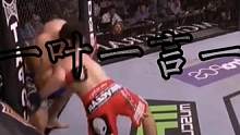 小鹰摔不倒的对手，提包#ufc #哈比布 #综合格斗 #mma