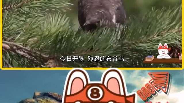 这种鸟是世界上最无耻的鸟，每只存活都以其他鸟的生命为代价。