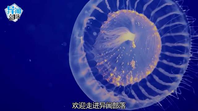 4种打破常理的神奇材料！这种固体比空气轻薄，还能抗高温