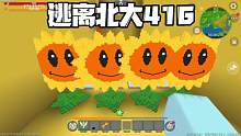 迷你世界：逃离北大416给北大准备四个太阳花，他肯定会喜欢