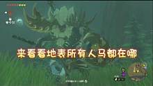 塞尔达传说：王国之泪。地表15只人马位置。
这几天会很忙，直播先停一停，视频的话存了不少，都已经定好