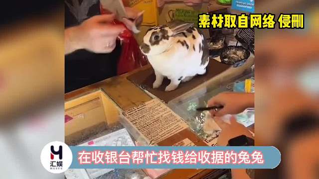 努力工作的兔兔，今天可以加餐了吧！