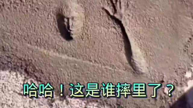 不是我！肯定不是我！#搞笑配音#搞笑#搞笑视频