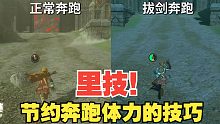里技！节约奔跑体力技巧 - 《塞尔达传说 王国之泪》