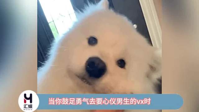 如果是你，你会怎么回呢？