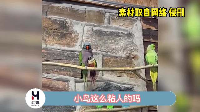 好像大哥和他忠诚的小跟班啊！