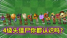 pvz2：盘点拓展关的4级头僵尸！
