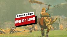 【IGN】《塞尔达传说 王国之泪》首先要做的16件事