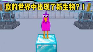 我的世界：新生物闖進(jìn)MC，結(jié)果被關(guān)進(jìn)實驗室做研究！