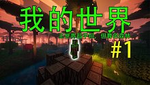 我的世界超平坦生存但暮色森林#1：感谢村民帮助初次进入暮色森林