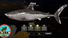 【挪威海】星鼠鲨——十三