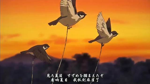 肥猫这体型，五只麻雀真的能飞起来吗？