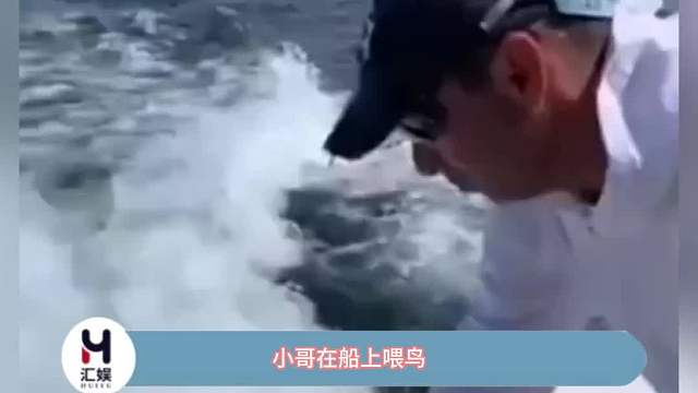 海狮：我就上来吃个自助餐，大家不介意吧