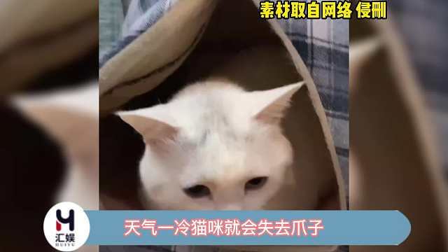 你家有没有同样遭遇的猫猫呢，太可怜了！