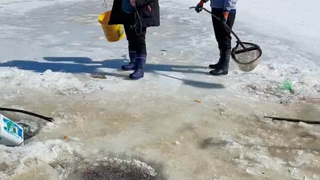 抖塔河哥俩合作冰窟窿抓鱼，收获满满