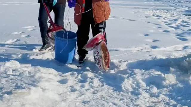 抖塔河哥俩合作抓鱼收获满满