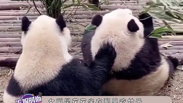 好温馨的画面啊，和叶还知道抱着姐姐呢