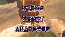 棒球玩的好！才能无伤打大桥上的巨型猪猪！#塞尔达传说王国之泪 #我的游戏日常 #开放世界游戏推荐 #