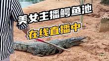 美女主播鳄鱼池在线直播中#鳄珍 #鳄鱼