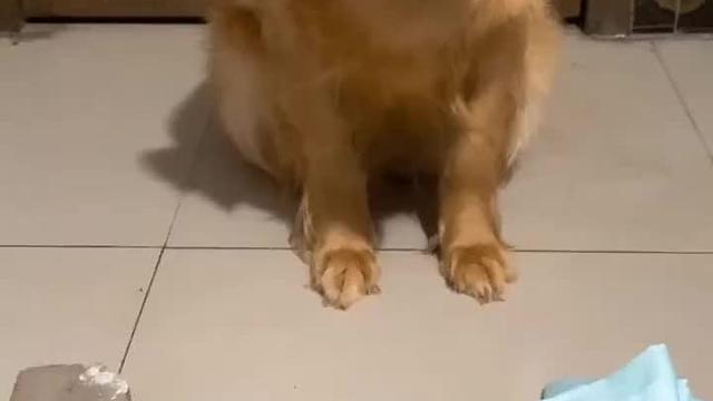 世界上最长的路就是主人的套路……