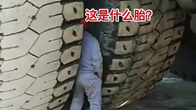 这是什么胎？比腰都还粗