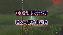 《塞尔达传说：王国之泪》里竟然有这么可爱的小动物？#塞尔达传说王国之泪 #塞尔达整活大赛 #我的游戏