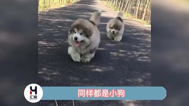 大家或许没听过钳子音吧！
