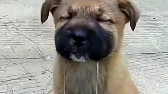  我相信的不是特效，而是世间的美好  