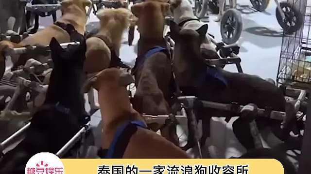 能遇到他们真是太好了呀！！