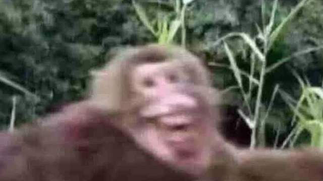 结婚证：用不完根本用不完 离婚证：不够用真的不够用