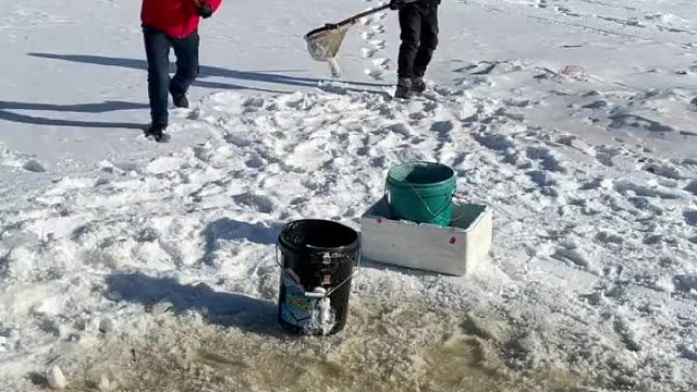 户外捕鱼哥俩合作抓大红鲤鱼。