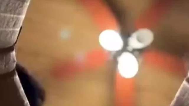 把猫零食涂在手机上，然后放上一圈纸板，你就会得到一个超级治愈