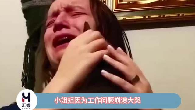 这个世界没有小猫咪要怎么运转啊！