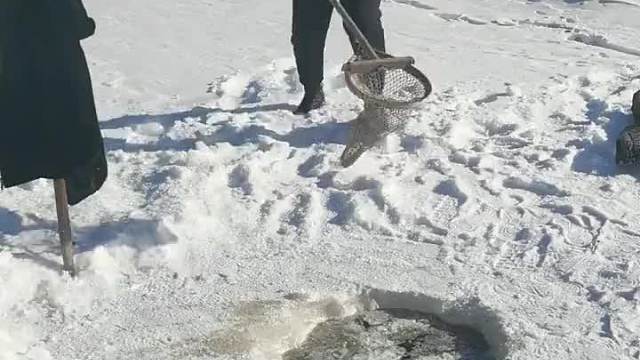 抖塔河冰窟窿搅上来大红鲤鱼了