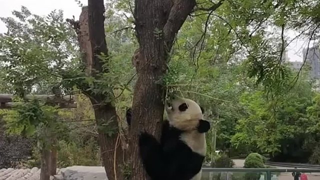 不要面子的嘛，都被你吐露了