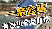 一条公鳄，有多少个女朋友#鳄珍 #鳄鱼