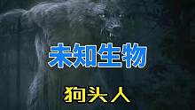 未知生物——狗头人#神秘事件 #未解之谜 #奇闻异事 #神秘生物 #探索未知