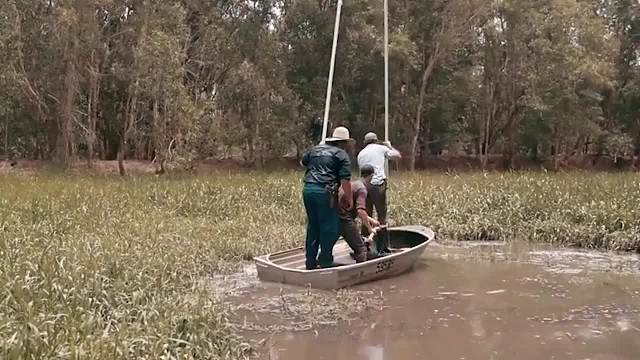 船下一道黑影游过，男子好奇用棍子一戳，下一秒差点“船毁人亡“