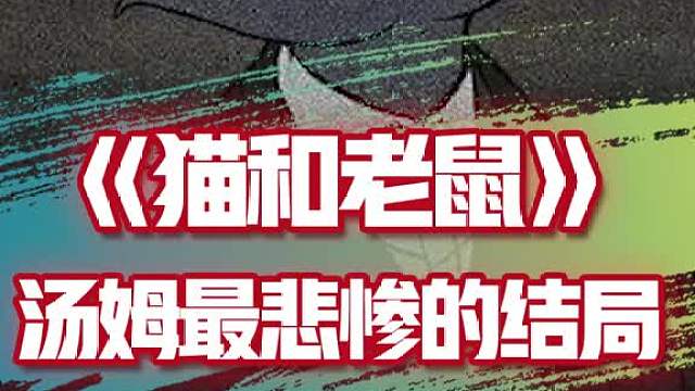 这是史上受伤最多的猫，心痛！