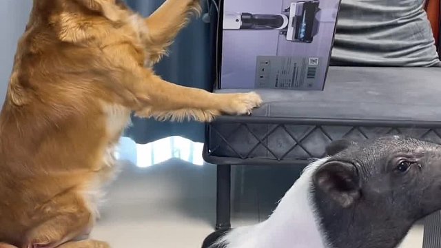 我发布了一个新视频，快来围观吧！