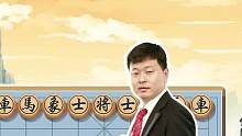 洪天王象甲上演反宫马，行云流水以柔克刚！#jj象棋 #象棋