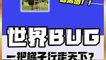 《关于有人发现世界BUG这件事》#内容过于真实 #万万没想到 #整活儿