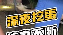 深夜挖蛋，惊喜不断#鳄珍 #鳄鱼