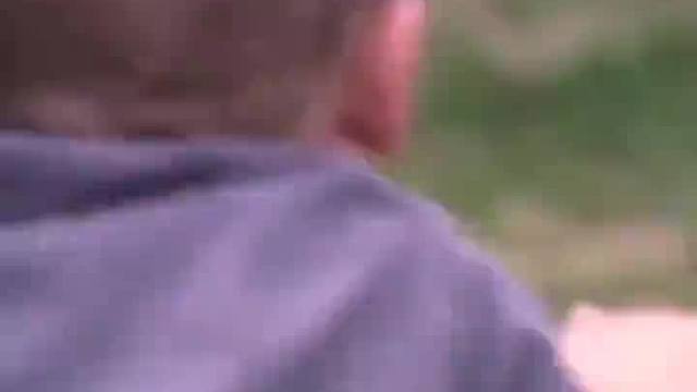 这只有情感的猩猩让人感动