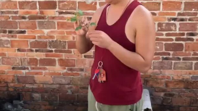 今天做个菜给大家