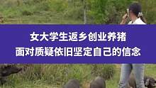 5月21日湖北黄冈，女大学生返乡创业养猪，面对质疑依旧坚定自己的信念：不论结果努力就好，给大家打个样