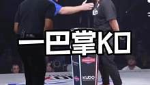 一巴掌KO#综合格斗 #mma #自由搏击 #ufc #ko