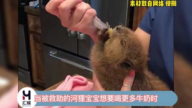 哼哼唧唧的可爱死了，快给它喝！