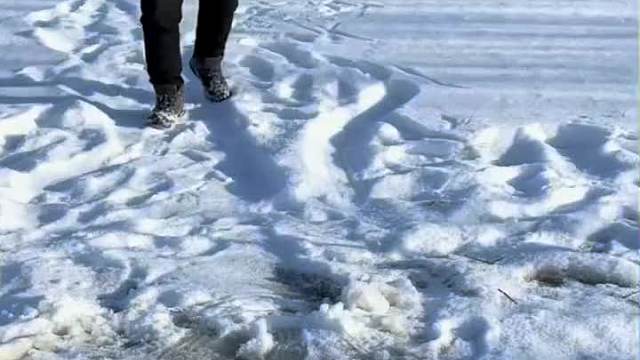 小河起鱼爆网了