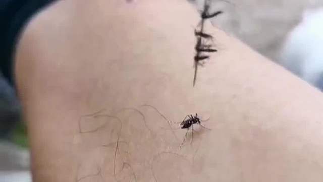 挡风玻璃贵不贵？#搞笑#搞笑配音#搞笑视频